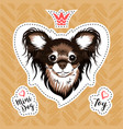 sticker glamorous dog russian toy terrier small vector image vector image