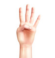 four fingers count composition vector image