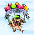 st patricks day pug dog flying with balloon vector image