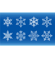 snowflakes vector image vector image
