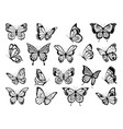 silhouettes of butterflies black pictures vector image