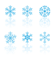 snowflakes vector image vector image