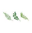 tree branches with fresh green leaves set twigs vector image