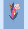 flower plant bouquet leaves and flowering bud vector image vector image
