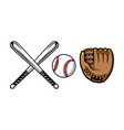 set of baseball equipment contains bat gloves vector image
