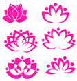 set of lotus flowers vector image vector image