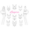female lingerie collection with beautiful fashion vector image
