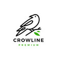 crow raven bird leaf line logo icon vector image