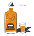 tequila traditional mexican alcoholic drink vector image