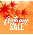 autumn sale banner with fall leaves vector image