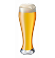 beer vector image vector image