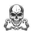 skull and metal chains with hook vector image vector image
