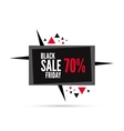 black friday sale vector image vector image