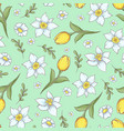 seamless pattern of daffodils tulips hand drawing vector image vector image