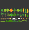big set of graphic info element of forest vector image