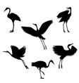 hand drawn black crane birds set vector image