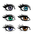 popular colors female eyes vector image