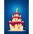 birthday cake with candle vector image vector image