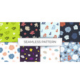 collection of seamless pattern flowers succulents vector image vector image