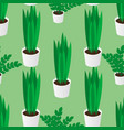 seamless pattern of green homeplants in pots vector image
