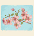postcard with sakura vector image