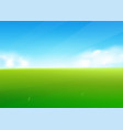 spring field nature background with green grass vector image
