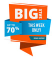 big sale tag promotion label special offer vector image