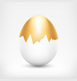 golden egg in white shell vector image vector image