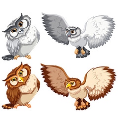 Four owls Royalty Free Vector Image - VectorStock
