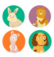 bright images of domestic animals cat rabbit dog vector image