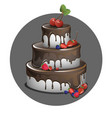cake with berries and chocolate vector image