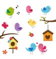 cute birds design elements set vector image