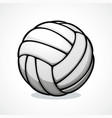 volleyball ball icon design vector image vector image