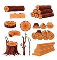 set of firewood materials for lumber industry vector image
