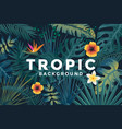 tropical background 2 vector image vector image