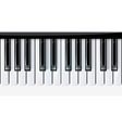 keys piano music vector image vector image