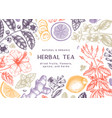 hand sketched herbal tea ingredients frame design vector image vector image