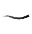 make-up cosmetic mascara brush stroke vector image vector image