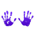 hand paint print set isolated white background vector image