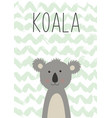 cute koala poster card for kids vector image