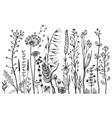 wild flowers with leaves set of wedding botanical vector image vector image