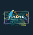 tropical background 5 vector image vector image