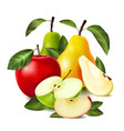 colored realistic pear apple composition vector image vector image