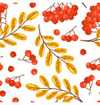 seamless pattern of rowan with berries image vector image vector image