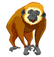 brown gibbon with happy face vector image
