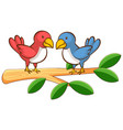 two birds on white background vector image vector image