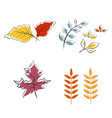 autumn element icon design vector image vector image