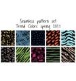 seamless pattern set vector image