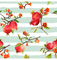 seamless pattern pomegranate tropical background vector image