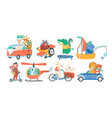 set of funny adorable animals in various types vector image vector image
